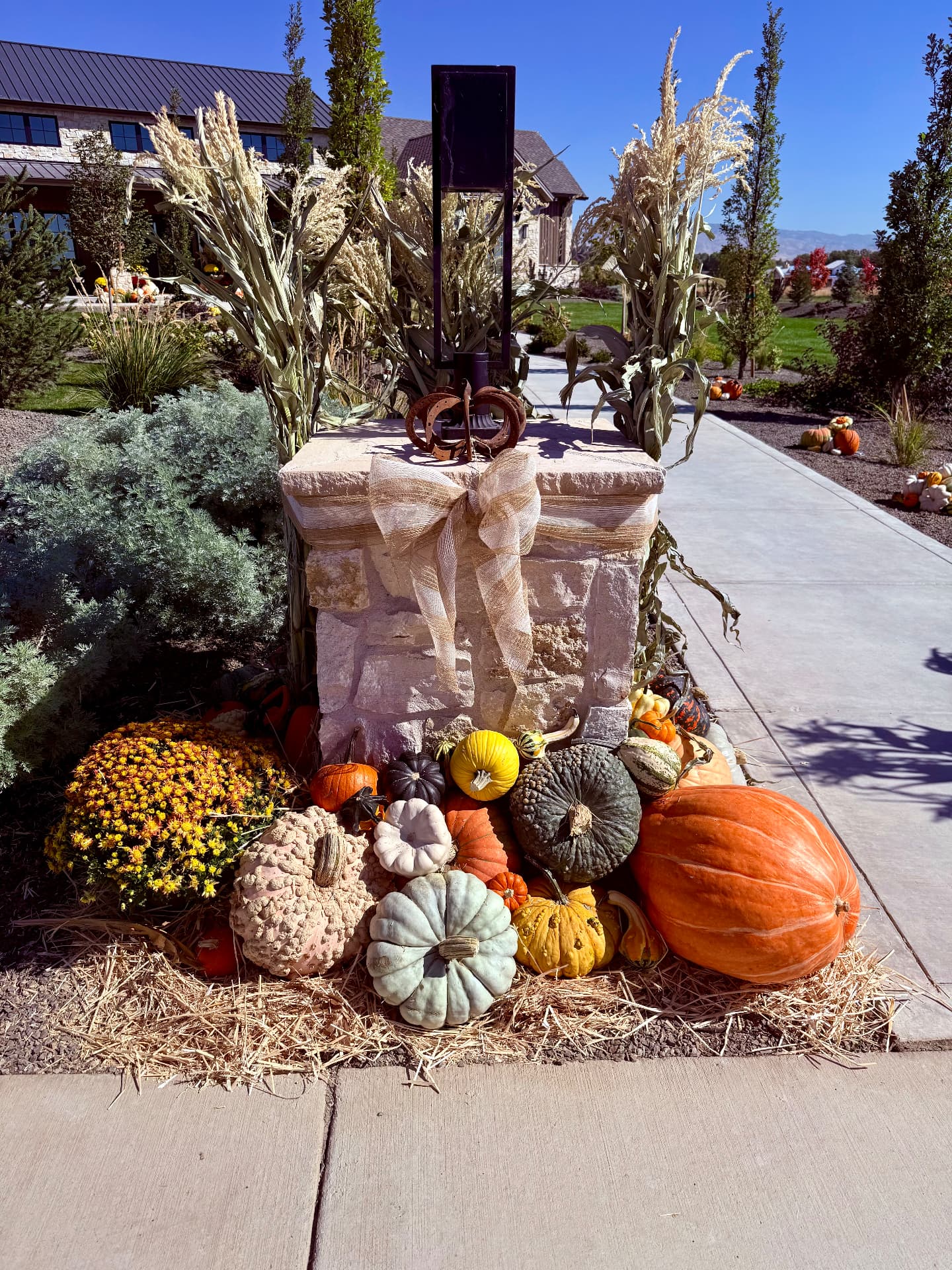 Heirloom pumpkins in cream, blue-grey and rust arranged on a stone step