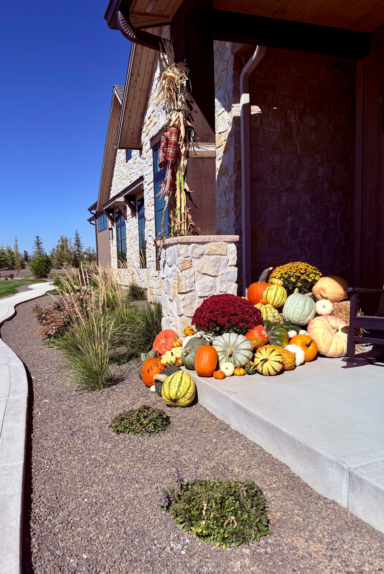 The Forge pumpkin installation